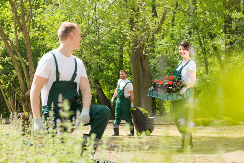 Gardeners planting flowers in park