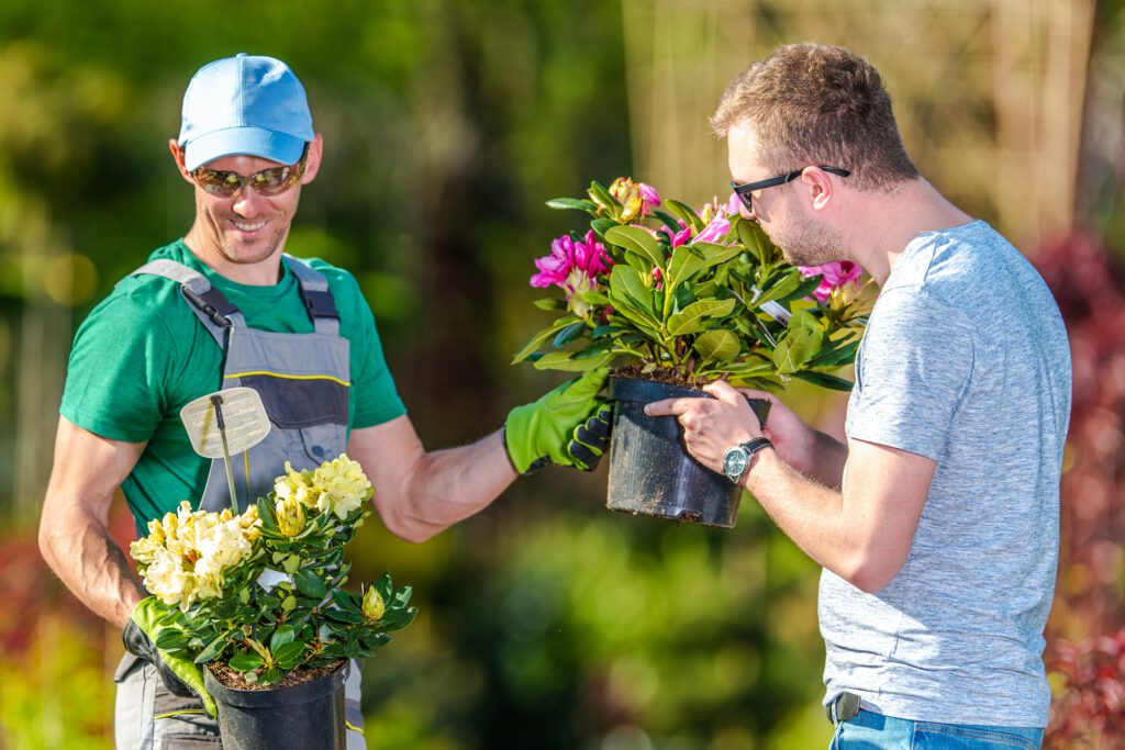 Two Man Choosing Plants For Landscaping Job.