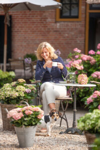 Hydragena Magical mix Produktfoto mit Frau - Warnken Pflanzencenter Oldenburg