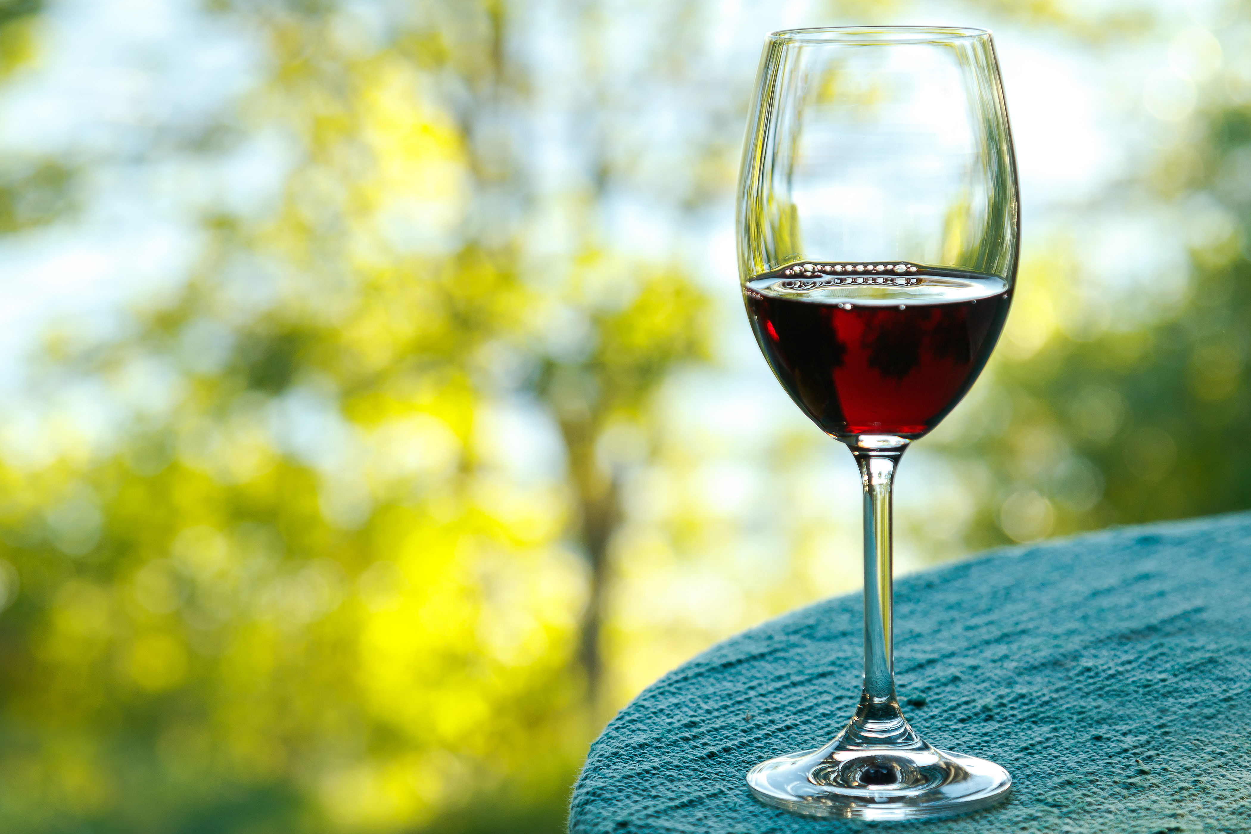 Weinprobe am 30.09.23 beim Pflanzencenter Warnken in Wardenburg