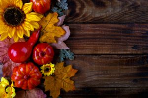 Herzliche Einladung zu unserem Herbst – Workshop