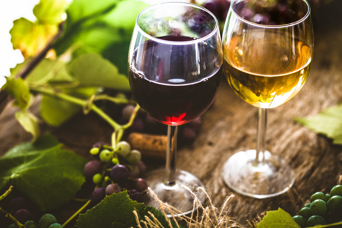 Weinprobe beim Pflanzencenter Warnken in Wardenburg