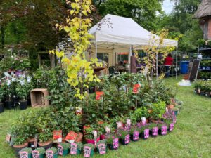 Dorfpartie 2025 – Das Gartenfest im Museumsdorf Cloppenburg