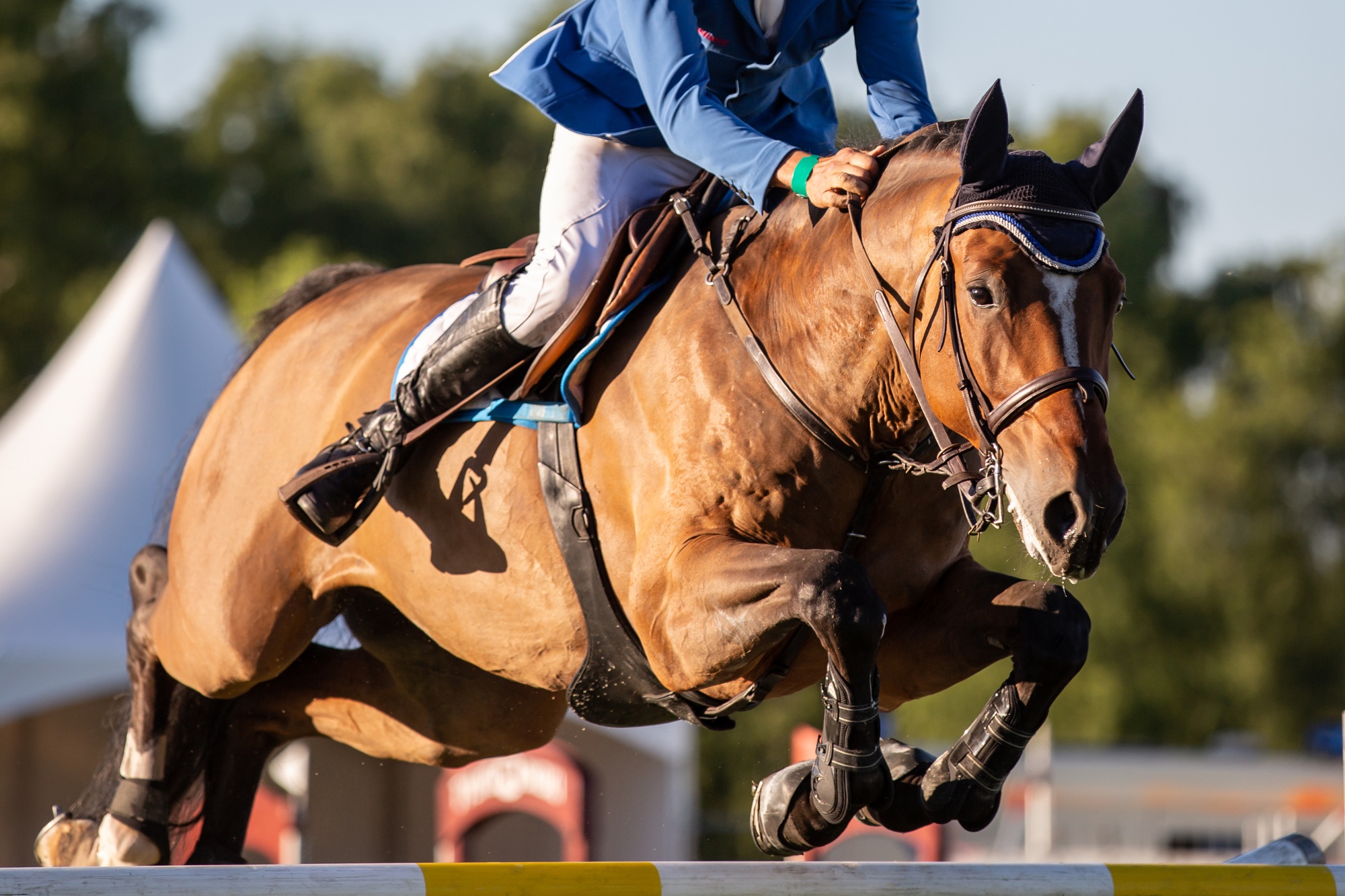 Ahlhorner Reitertage 10.7.-13.7. – Wir sind dabei